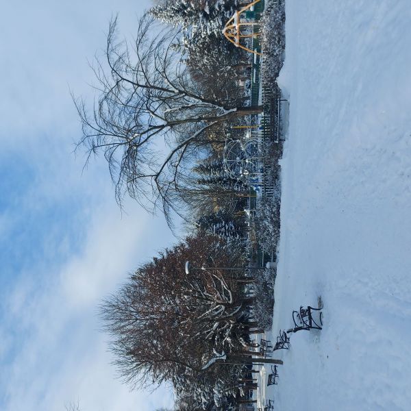 Perełka w Nowym Targu! Parter, Ogródek i Park Miejski za rogiem!